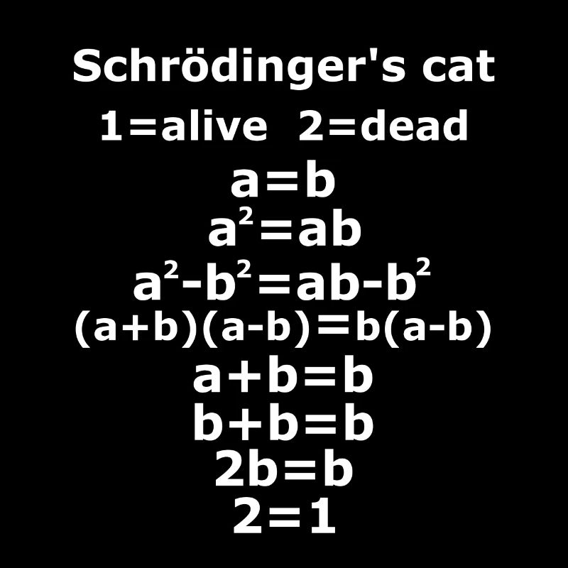 Schrödinger's Katze Physik Geek Lehrer Spruch