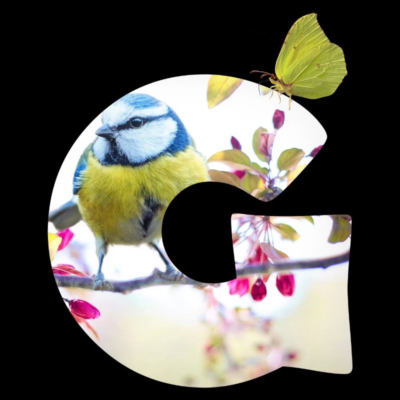 spring bird butterfly g