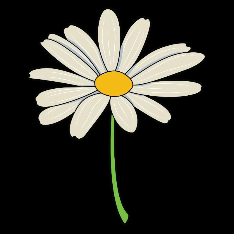 Gänseblümchen
