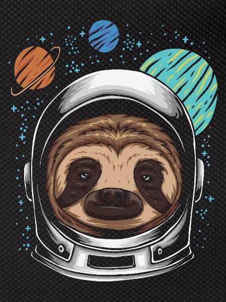 Astro Sloth