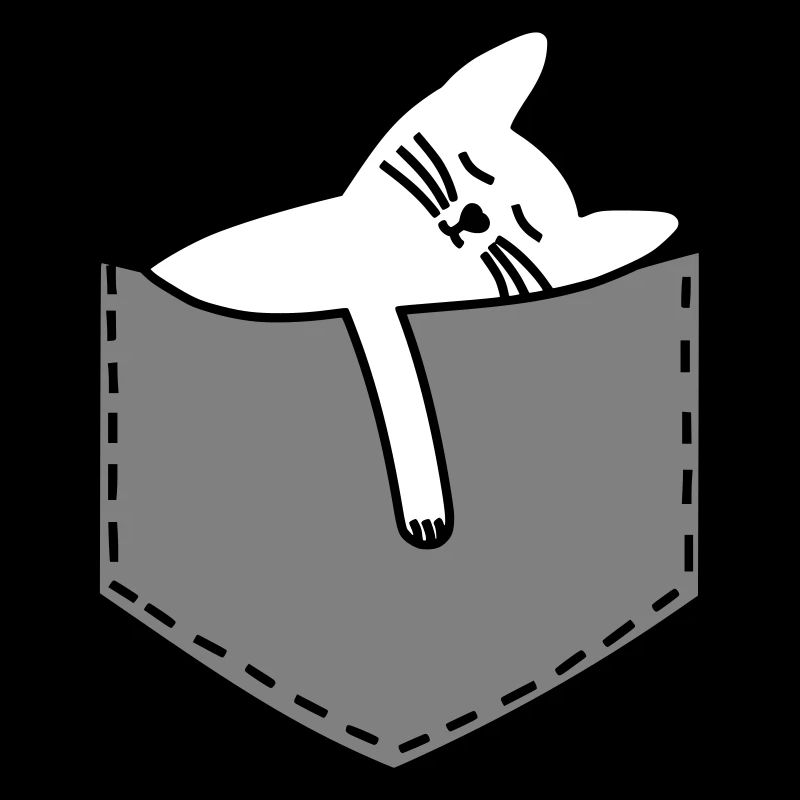 Chat dans le sac