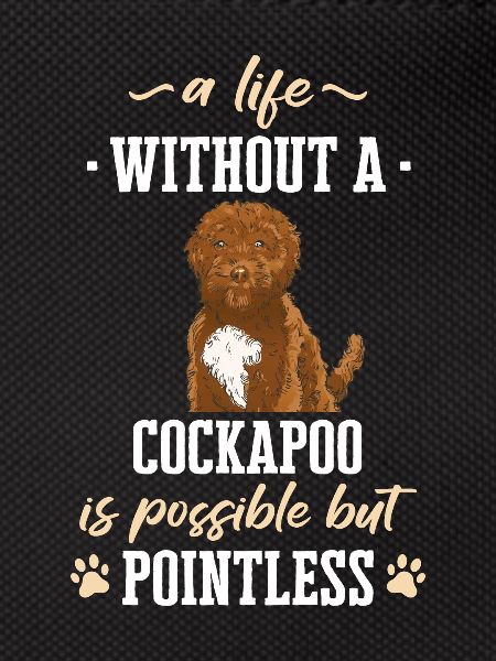 Cockapoo Dog