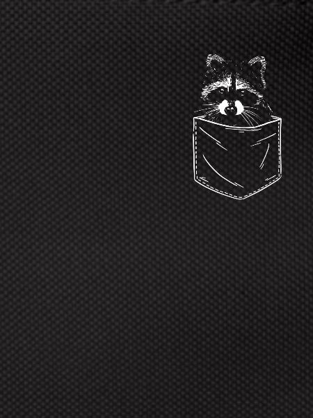 Raccoon