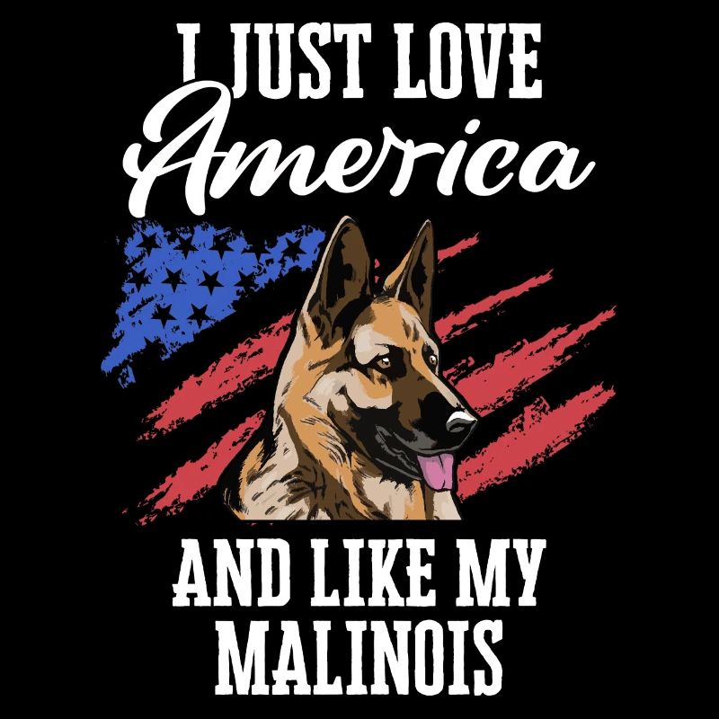 Malinois Hund