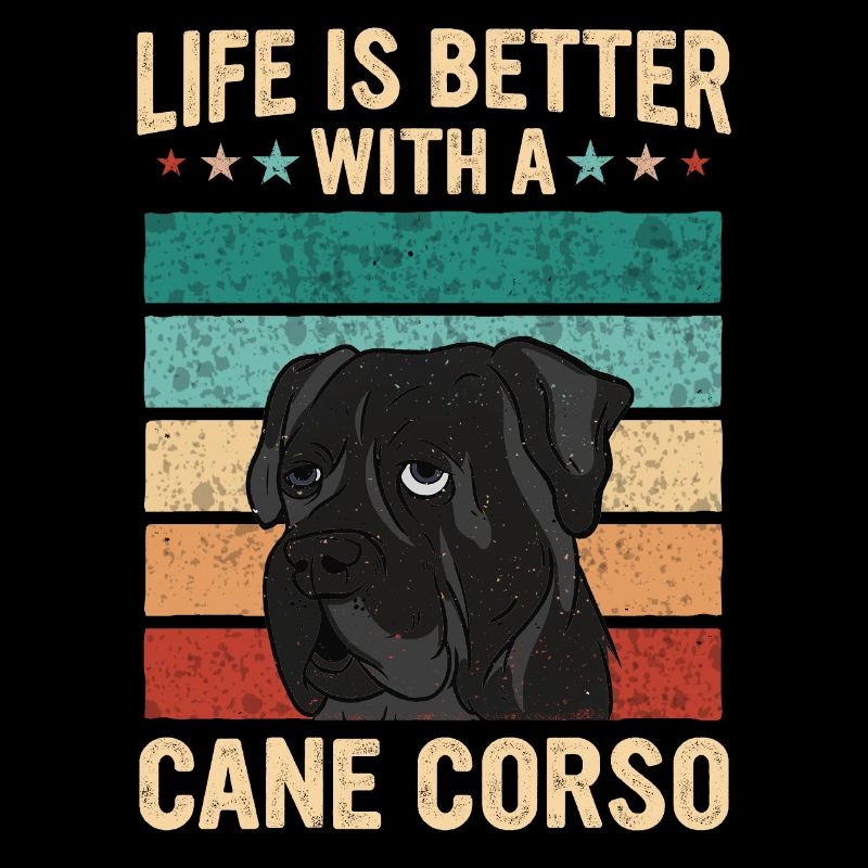 Cane Corso Hund
