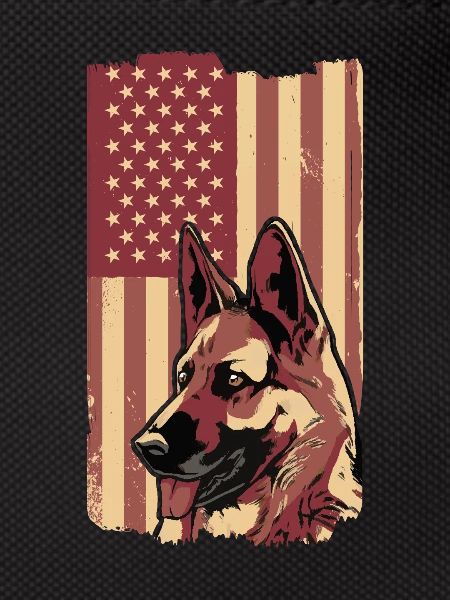 Malinois Dog