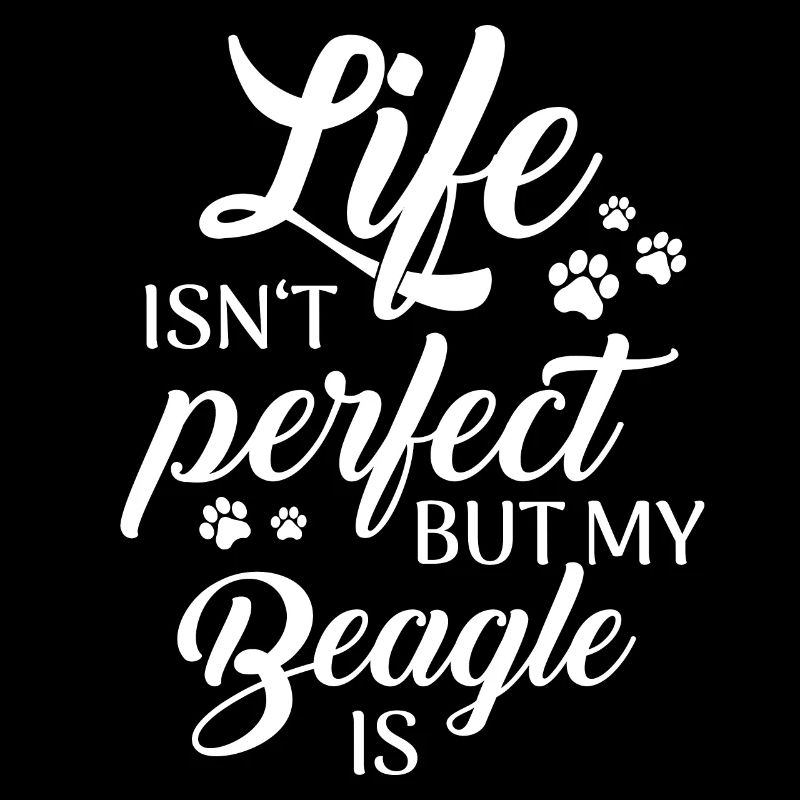 Chien Beagle