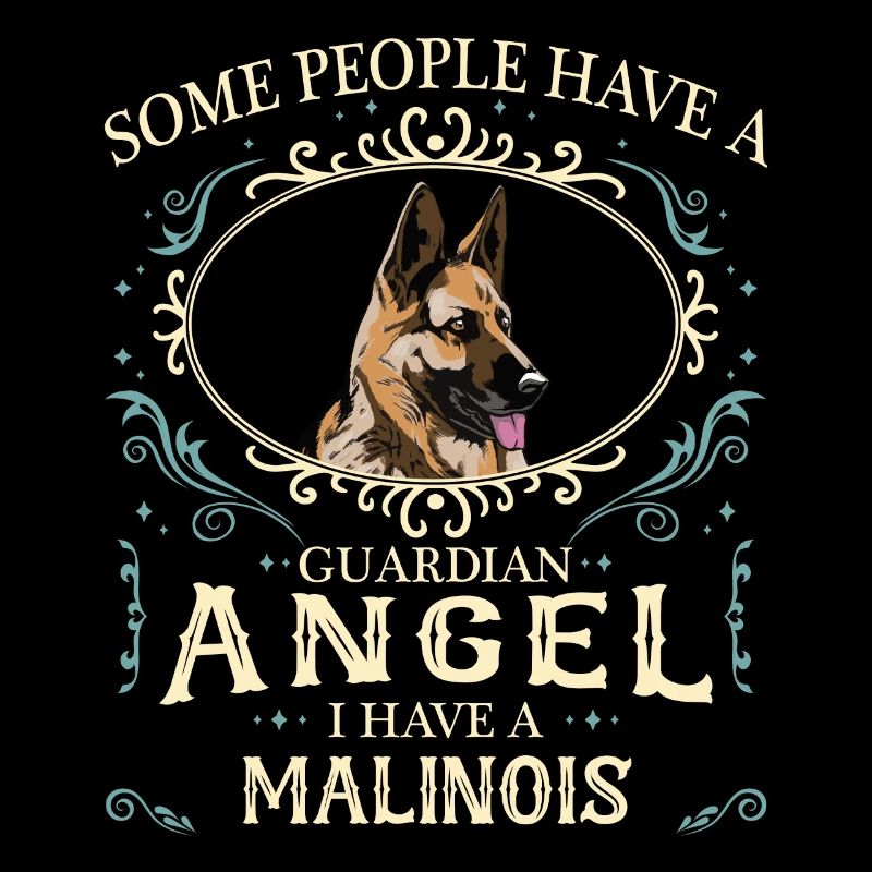 Malinois Hund
