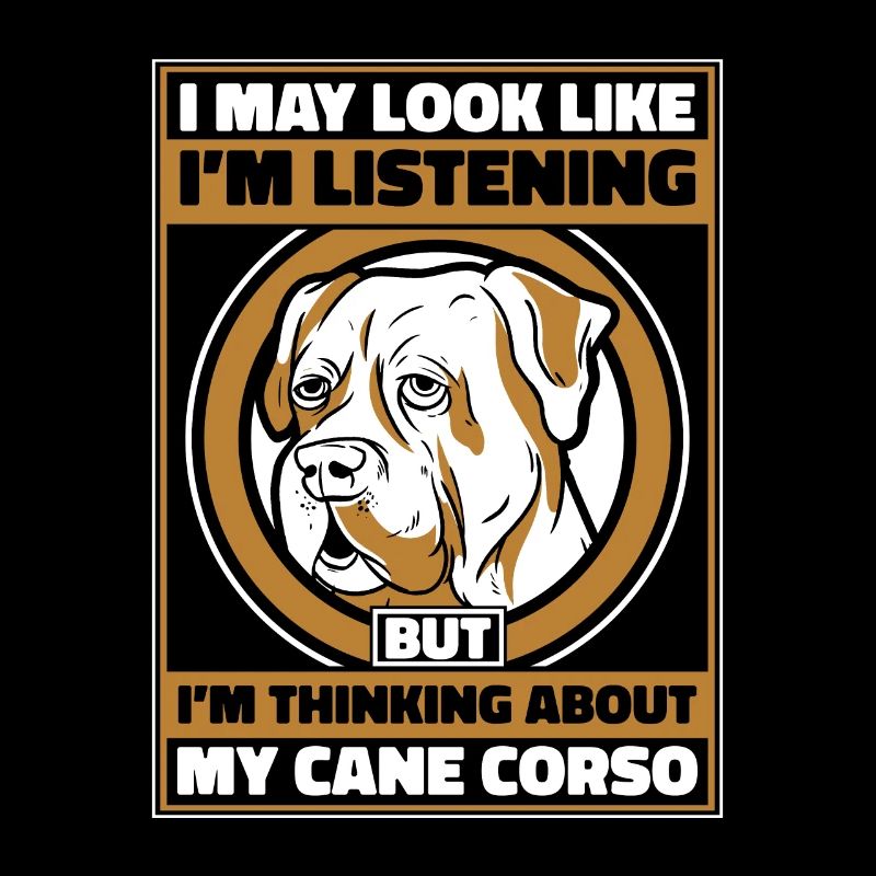 Cane Corso Hund