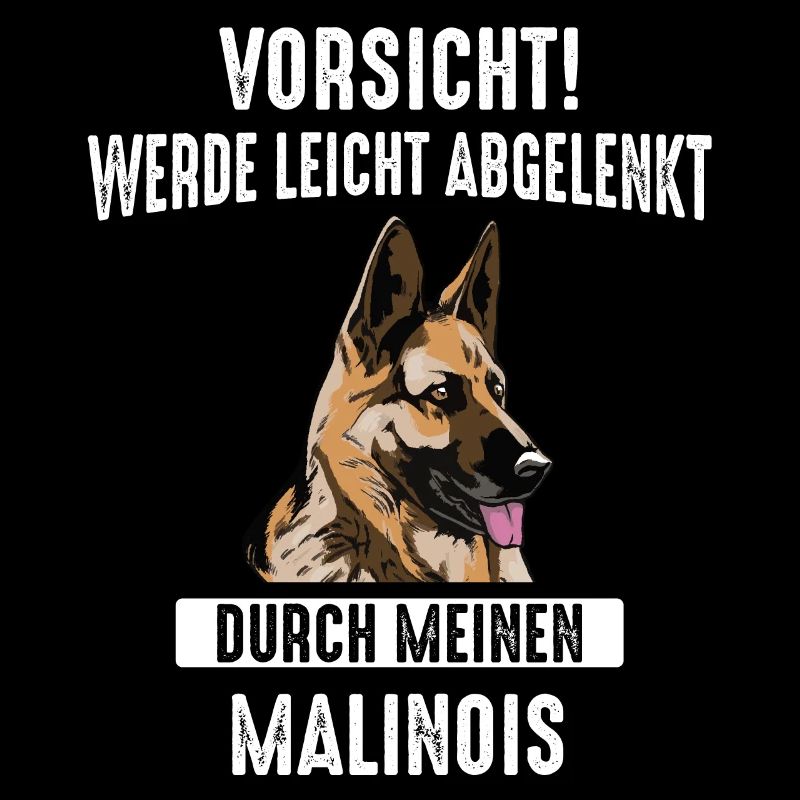 Malinois Belgischer Schäferhund Hund