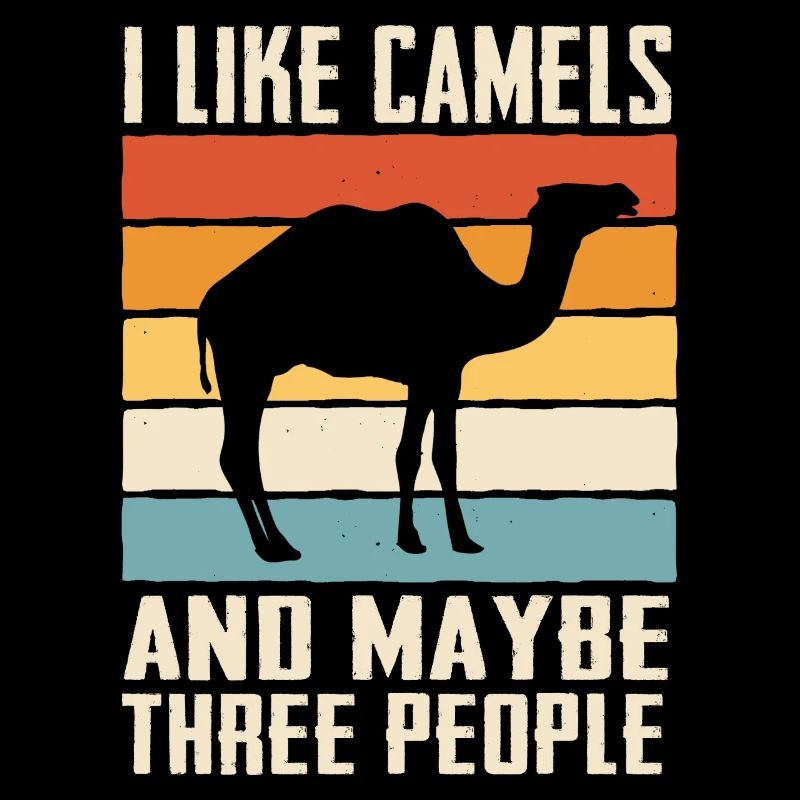 Camel Desert Camels Egypte