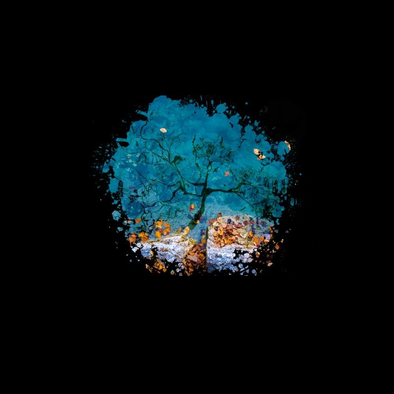 Compass with tree reflection - photo version