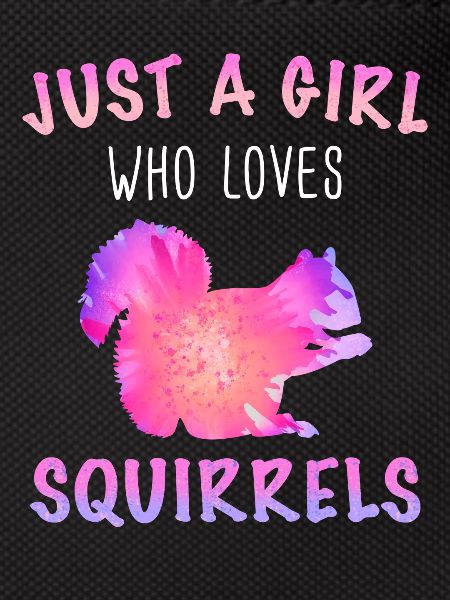 Squirrel Animal