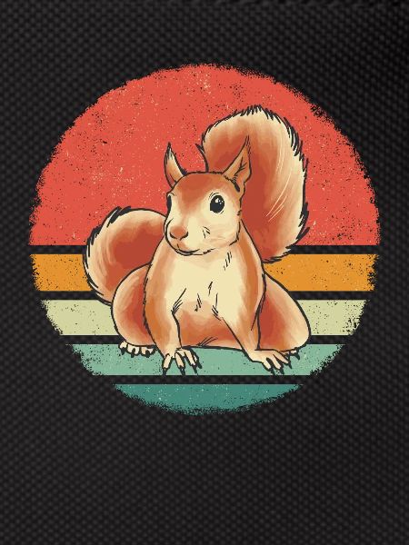 Squirrel Animal