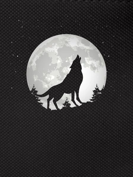 Wolf Wölfe Tier Jaulen
