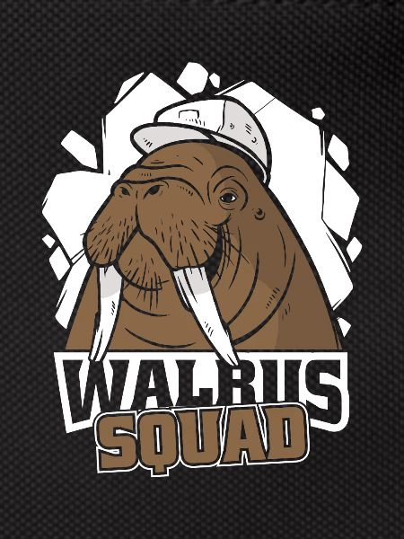 Walrus Walrus Animal Ocean