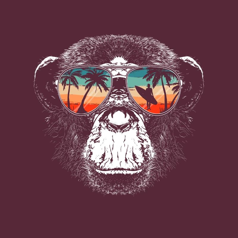 Monkey Monkey Animal Gorilla Chimpanzee