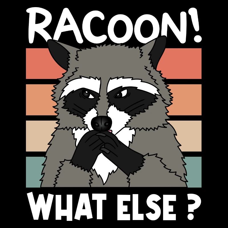 WASCHBÄR RACOON Weihnachten Geschenk
