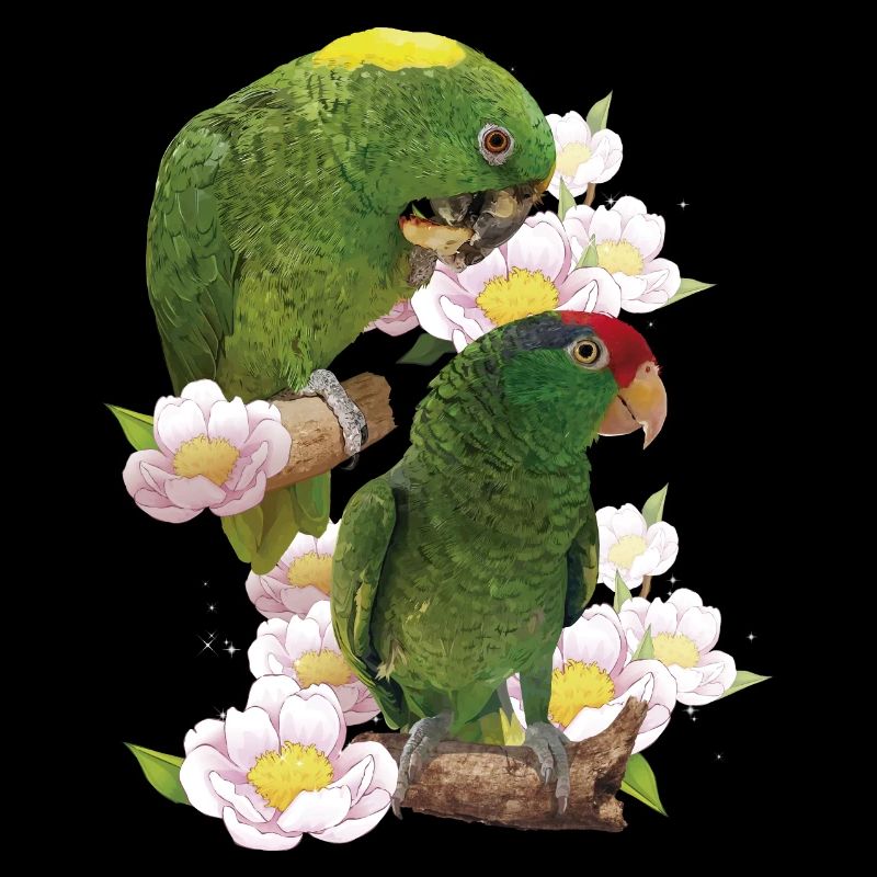 Perroquets