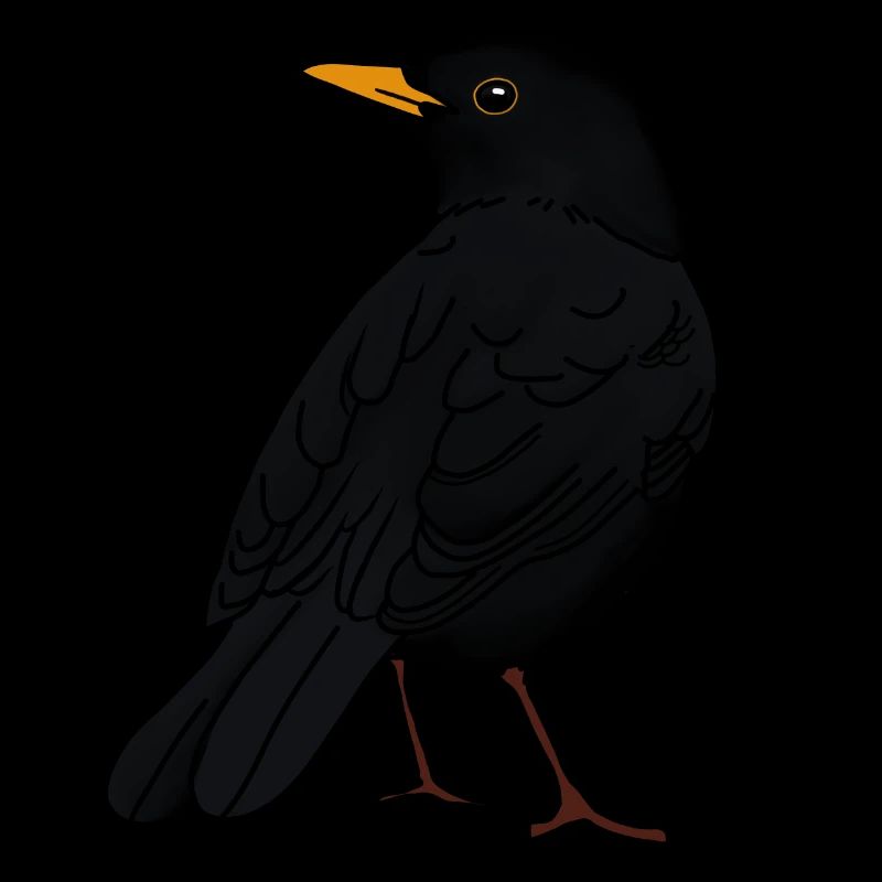 Amsel