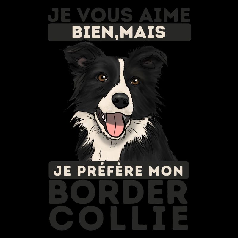 je préfère mon Border collie 1