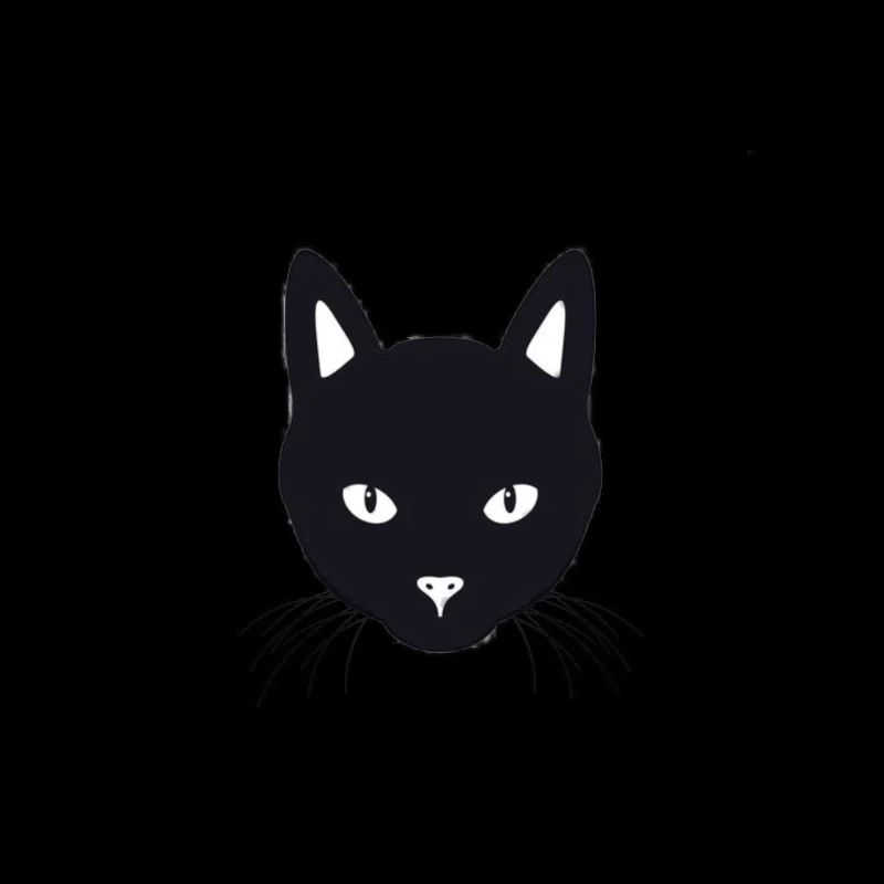 Chat noir Chat Ami Pet Cat’s Eye