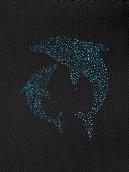 Delfine Dolphins