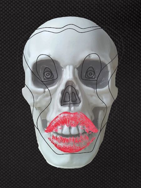 Skull with red lips