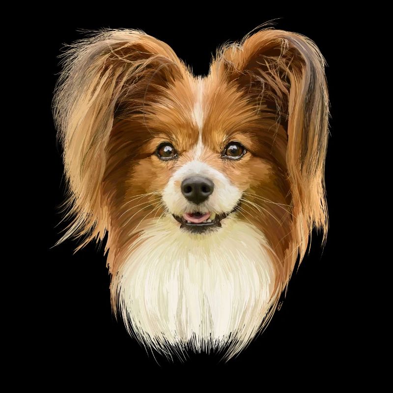 Papillon