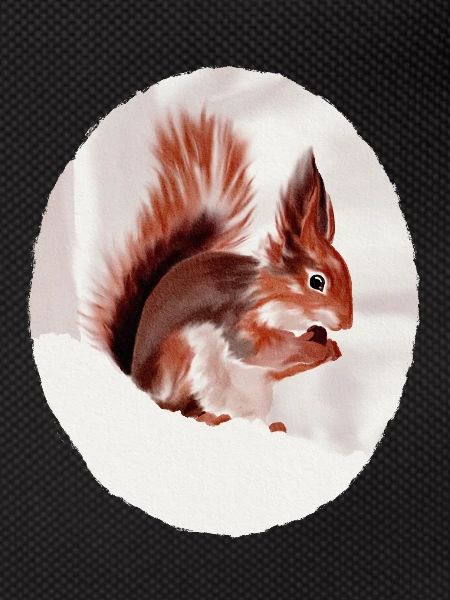 Squirrel