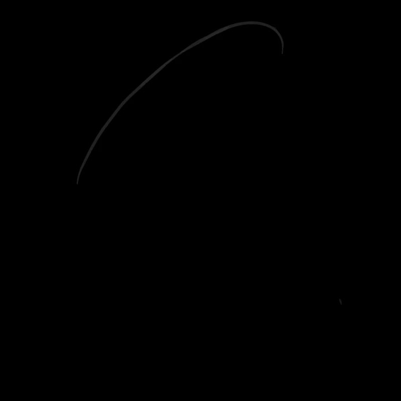 Gleitschirm