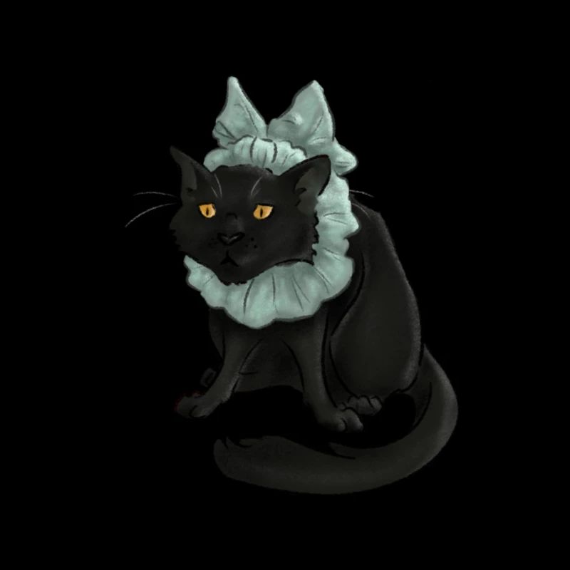 Funny Cat With Bow