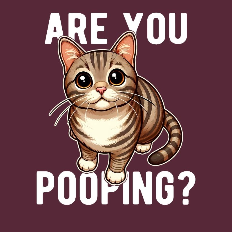 Est-ce que tu fais caca ? Drôle de chat