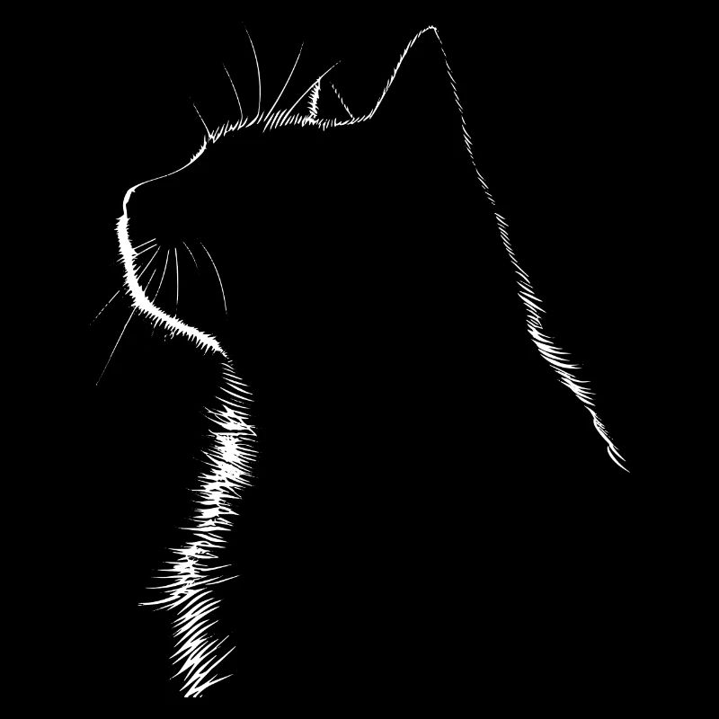 Chat, Motif De Chat