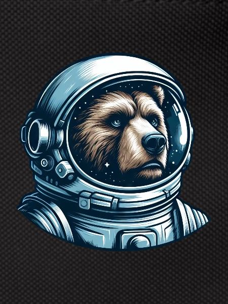 Ours pensif dans l’espace