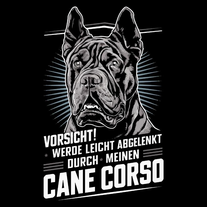 Hunde Cane Corso Italiano Hund
