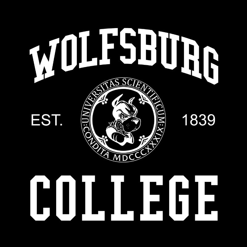 École universitaire Wolfsburg College