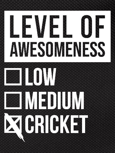 Cricket Cricket Cricket