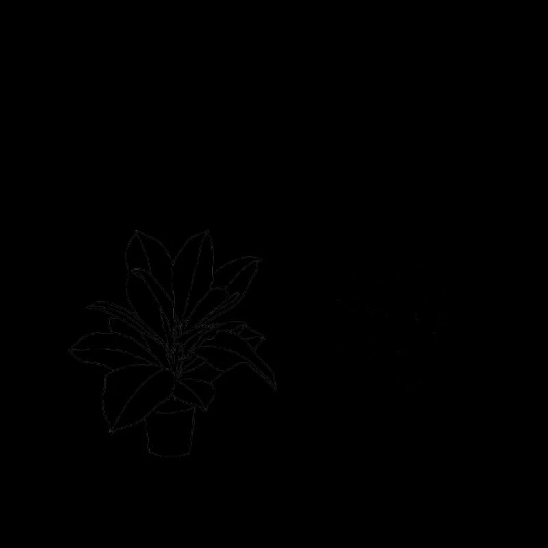 plants love