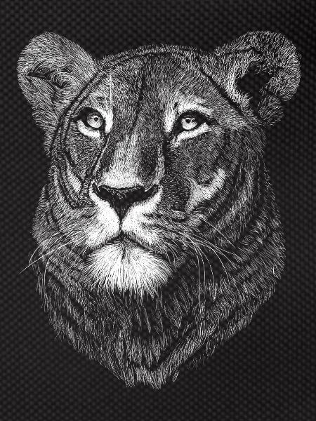 Lioness