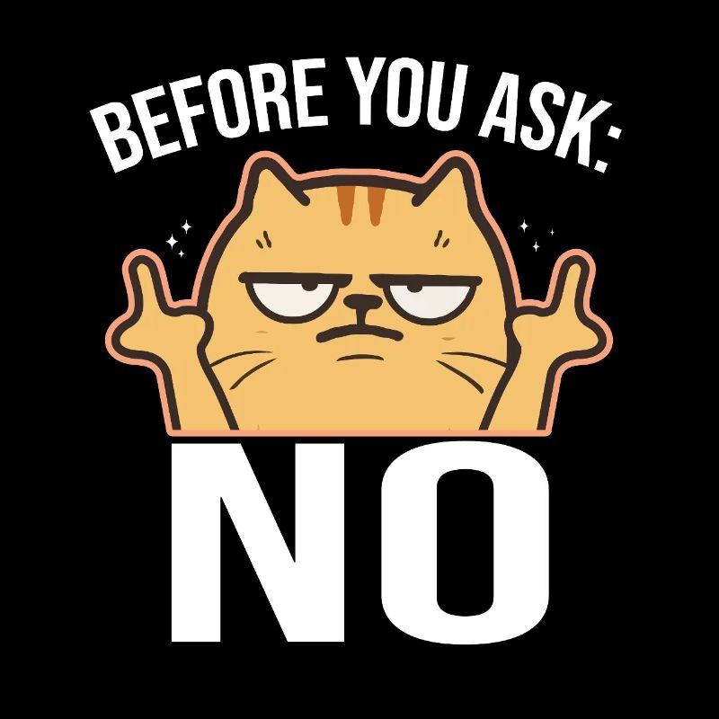 Chat effronté avec le majeur NON