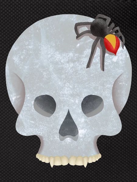Skull with spider