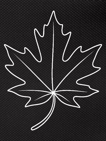 Maple Leaf Contour Design