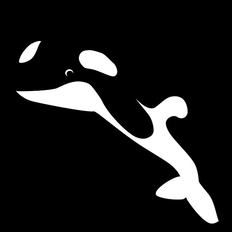 Orca / Killer Wal