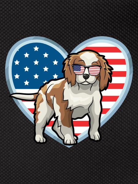 Cavalier King Charles Spaniel