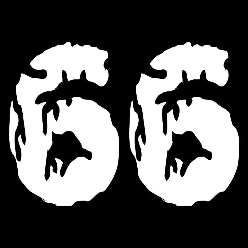 Maillot 66 numéros