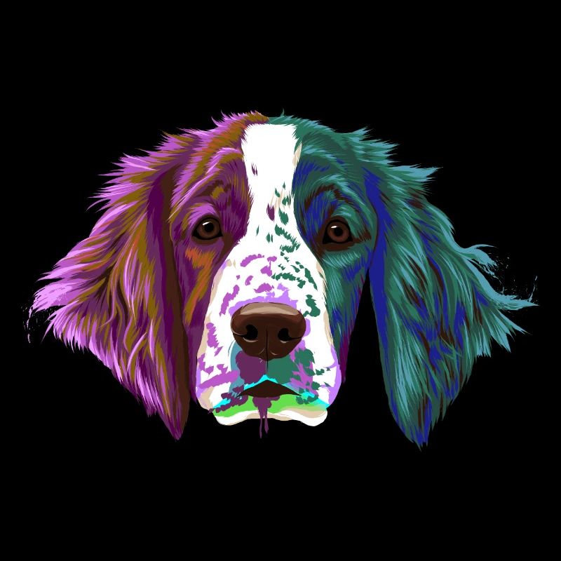Splash Welsh Springer Spaniel chien