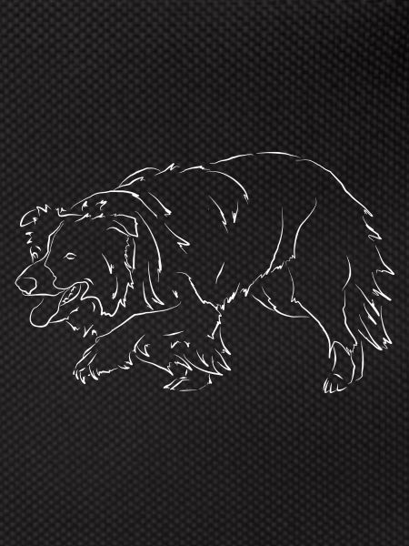 Border Collie dog