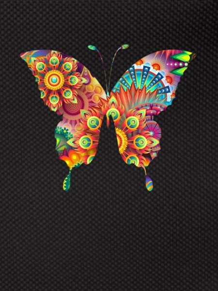 Fleurs papillon