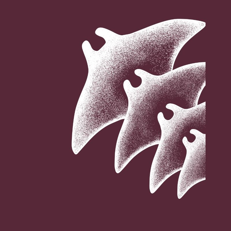 Dive Underwater Manta Ray Gift Idea